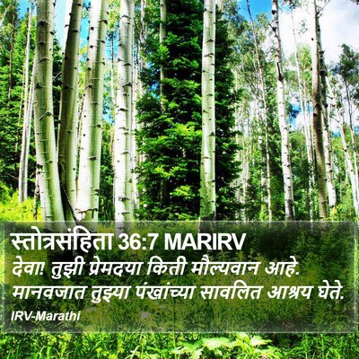 स्तोत्रसंहिता 36:7 MARIRV Bible Verse Image