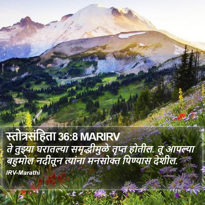 स्तोत्रसंहिता 36:8 MARIRV Bible Verse Image