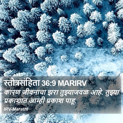 स्तोत्रसंहिता 36:9 MARIRV Bible Verse Image