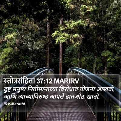 स्तोत्रसंहिता 37:12 MARIRV Bible Verse Image