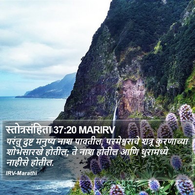 स्तोत्रसंहिता 37:20 MARIRV Bible Verse Image