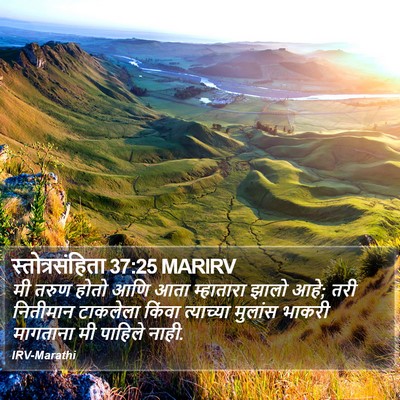 स्तोत्रसंहिता 37:25 MARIRV Bible Verse Image