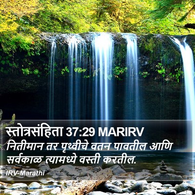स्तोत्रसंहिता 37:29 MARIRV Bible Verse Image