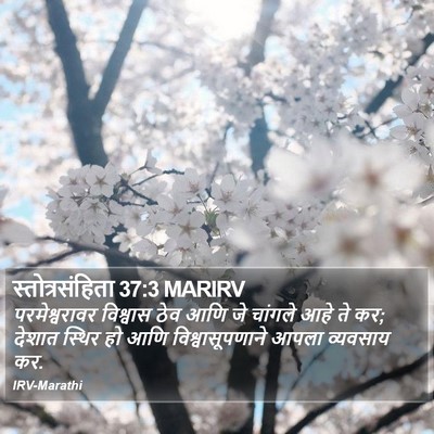 स्तोत्रसंहिता 37:3 MARIRV Bible Verse Image