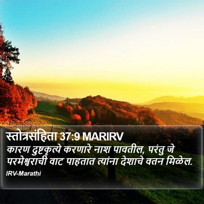 स्तोत्रसंहिता 37:9 MARIRV Bible Verse Image