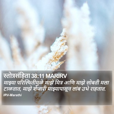 स्तोत्रसंहिता 38:11 MARIRV Bible Verse Image