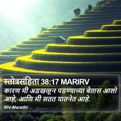 स्तोत्रसंहिता 38:17 MARIRV Bible Verse Image