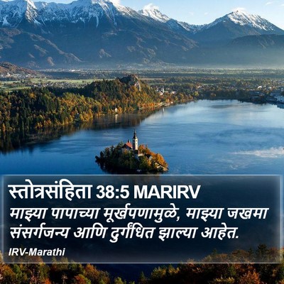 स्तोत्रसंहिता 38:5 MARIRV Bible Verse Image