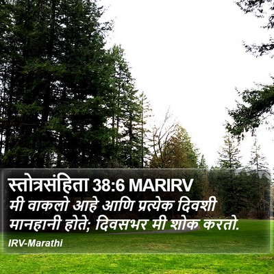स्तोत्रसंहिता 38:6 MARIRV Bible Verse Image