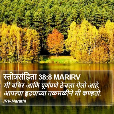 स्तोत्रसंहिता 38:8 MARIRV Bible Verse Image