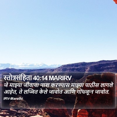 स्तोत्रसंहिता 40:14 MARIRV Bible Verse Image