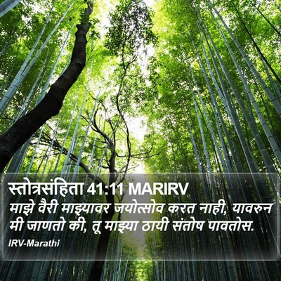 स्तोत्रसंहिता 41:11 MARIRV Bible Verse Image