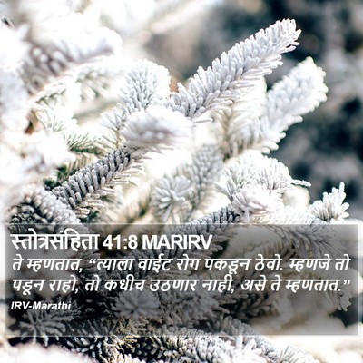 स्तोत्रसंहिता 41:8 MARIRV Bible Verse Image