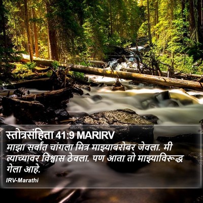 स्तोत्रसंहिता 41:9 MARIRV Bible Verse Image