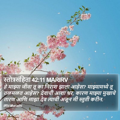 स्तोत्रसंहिता 42:11 MARIRV Bible Verse Image