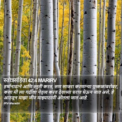 स्तोत्रसंहिता 42:4 MARIRV Bible Verse Image
