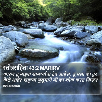 स्तोत्रसंहिता 43:2 MARIRV Bible Verse Image