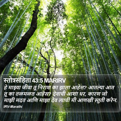 स्तोत्रसंहिता 43:5 MARIRV Bible Verse Image