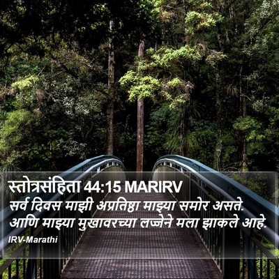 स्तोत्रसंहिता 44:15 MARIRV Bible Verse Image