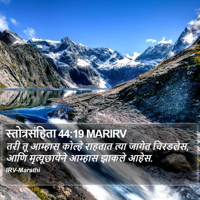 स्तोत्रसंहिता 44:19 MARIRV Bible Verse Image