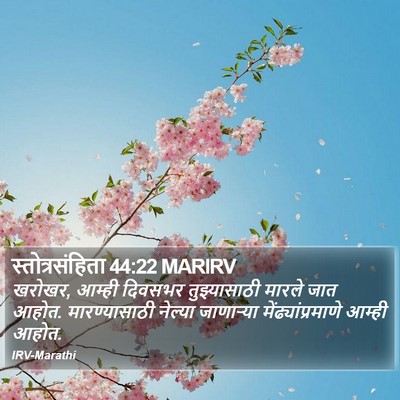 स्तोत्रसंहिता 44:22 MARIRV Bible Verse Image