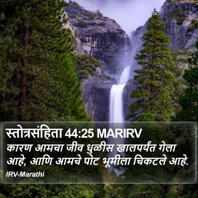 स्तोत्रसंहिता 44:25 MARIRV Bible Verse Image