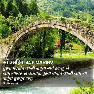 स्तोत्रसंहिता 44:5 MARIRV Bible Verse Image