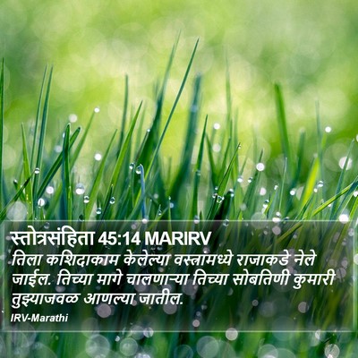 स्तोत्रसंहिता 45:14 MARIRV Bible Verse Image