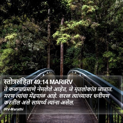 स्तोत्रसंहिता 49:14 MARIRV Bible Verse Image