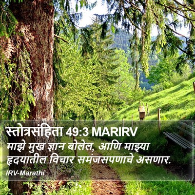 स्तोत्रसंहिता 49:3 MARIRV Bible Verse Image