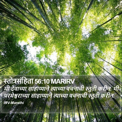 स्तोत्रसंहिता 56:10 MARIRV Bible Verse Image