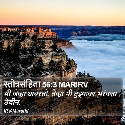 स्तोत्रसंहिता 56:3 MARIRV Bible Verse Image
