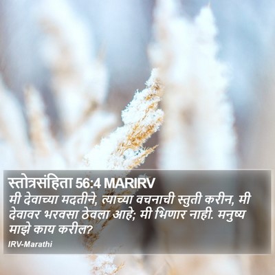 स्तोत्रसंहिता 56:4 MARIRV Bible Verse Image
