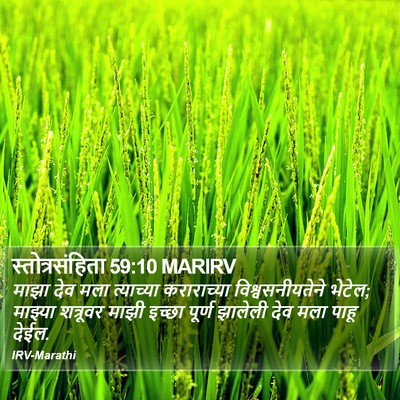 स्तोत्रसंहिता 59:10 MARIRV Bible Verse Image