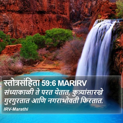 स्तोत्रसंहिता 59:6 MARIRV Bible Verse Image