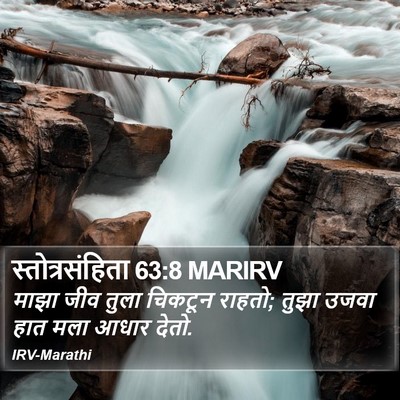 स्तोत्रसंहिता 63:8 MARIRV Bible Verse Image