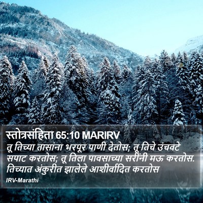 स्तोत्रसंहिता 65:10 MARIRV Bible Verse Image