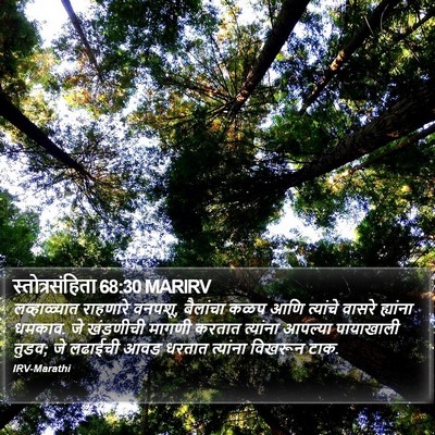 स्तोत्रसंहिता 68:30 MARIRV Bible Verse Image
