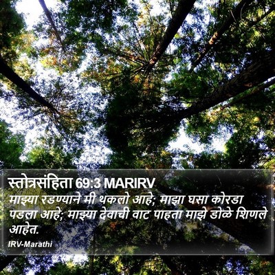 स्तोत्रसंहिता 69:3 MARIRV Bible Verse Image