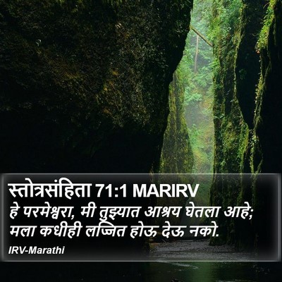 स्तोत्रसंहिता 71:1 MARIRV Bible Verse Image