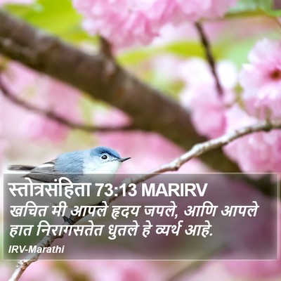 स्तोत्रसंहिता 73:13 MARIRV Bible Verse Image