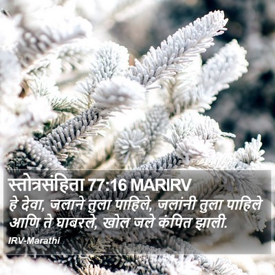 स्तोत्रसंहिता 77:16 MARIRV Bible Verse Image
