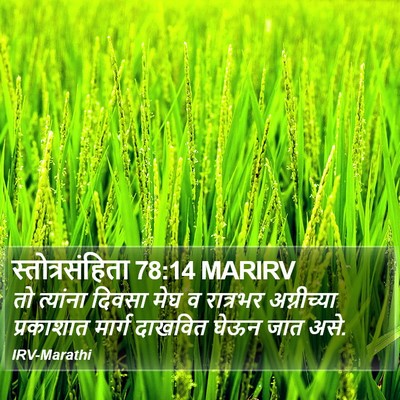 स्तोत्रसंहिता 78:14 MARIRV Bible Verse Image