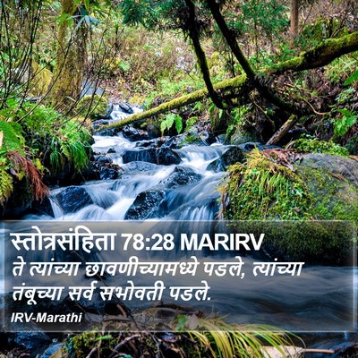 स्तोत्रसंहिता 78:28 MARIRV Bible Verse Image