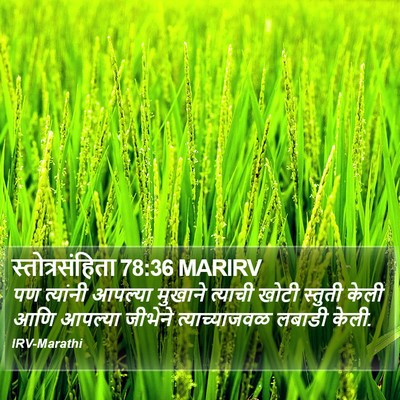 स्तोत्रसंहिता 78:36 MARIRV Bible Verse Image