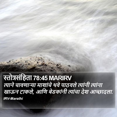 स्तोत्रसंहिता 78:45 MARIRV Bible Verse Image