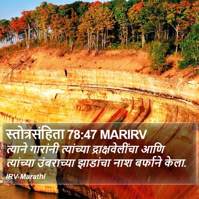 स्तोत्रसंहिता 78:47 MARIRV Bible Verse Image
