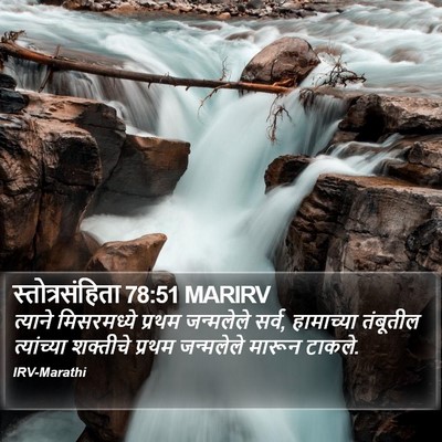 स्तोत्रसंहिता 78:51 MARIRV Bible Verse Image