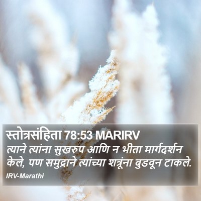 स्तोत्रसंहिता 78:53 MARIRV Bible Verse Image