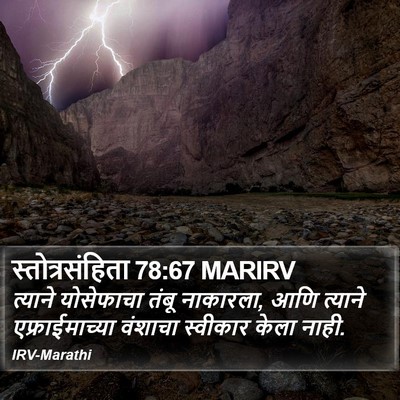 स्तोत्रसंहिता 78:67 MARIRV Bible Verse Image